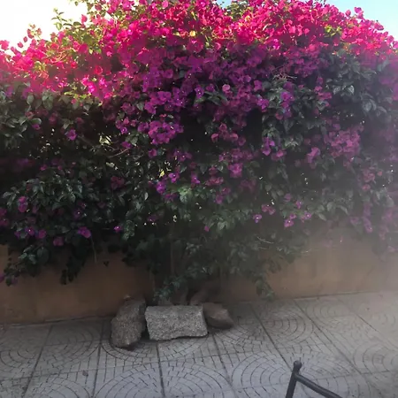 Casa Francesca Апартаменты